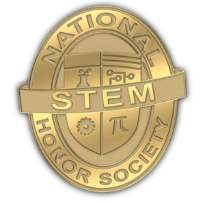 NSTEM pin