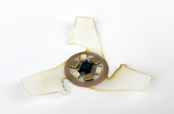 winged microchip