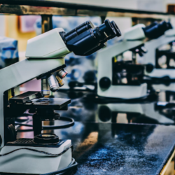Science fair projects for grades 3-5