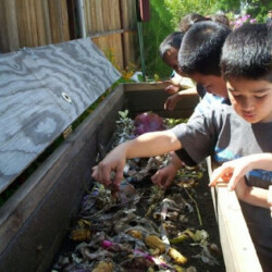 kids looking inside a dirt-pit