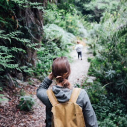 person walking in the woods