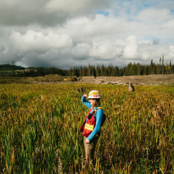 A picture of a woman standing in the fields.