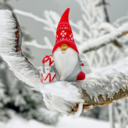 A picture of a Christmas Gnome