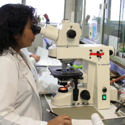 A picture of a female using microscope in a lab.