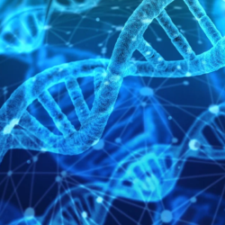 DNA picture