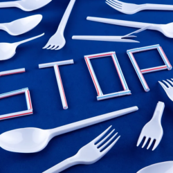 The U.S. Progress with Single-Use Plastic Bans