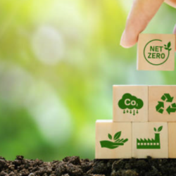 Eco system principles
