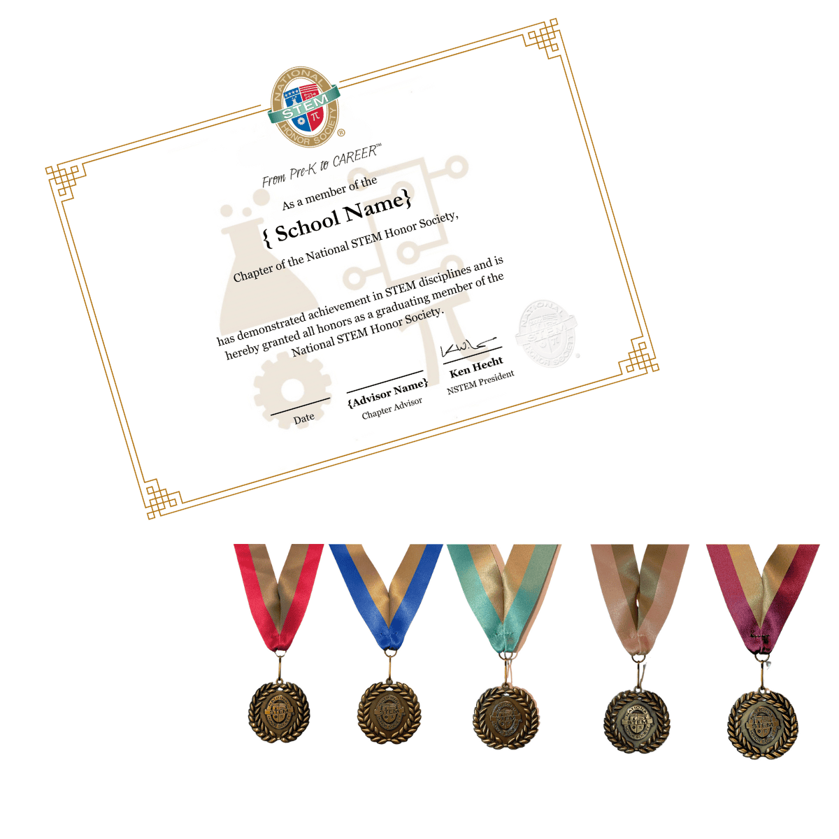 certificate (not customized) and neck medals in nstem colors