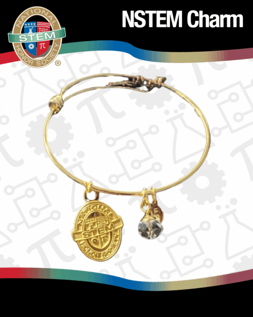 NSTEM Charm
